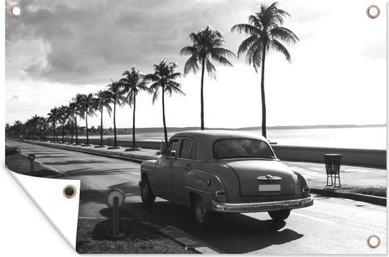 Vintage auto op een weg met palmbomen - zwart wit - Tuindoek