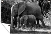 Tuindecoratie Wandelende baby olifant met zijn moeder - zwart wit - 60x40 cm - Tuinposter - Tuindoek - Buitenposter
