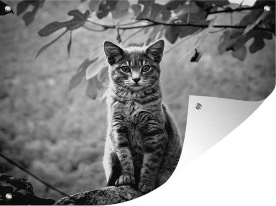 Kat zit op steen in een bosrijke omgeving - zwart wit - Tuindoek