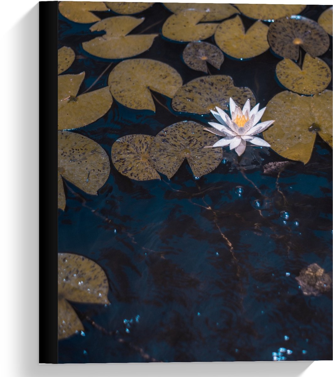 KuijsFotoprint Canvas - Waterlelies - 30x40cm Foto op Canvas Schilderij (Wanddecoratie op Canvas) Blauw