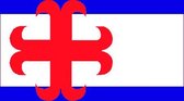Vlag Zutphen 30x45cm
