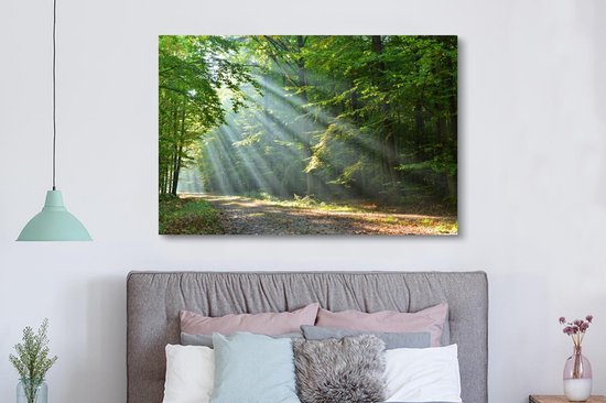 Zonnestralen op een bosweg, hangend boven een bed.