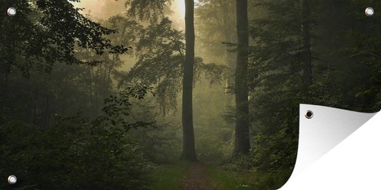 Affiche clôture Forêt - Arbres - Vert - 200x100 cm - Toile de jardin