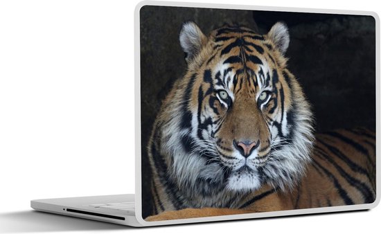 Sticker ordinateur portable - 17,3 pouces - Tigre - Grotte - Nature