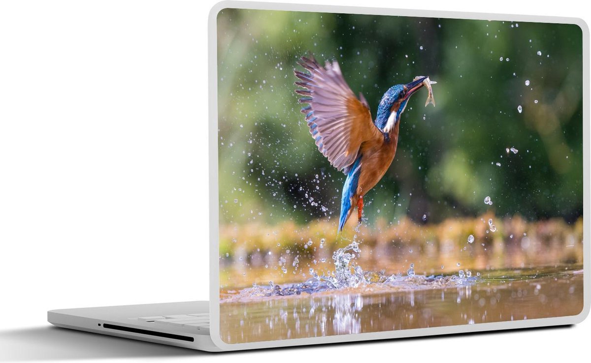 Laptop sticker - 10.1 inch - Vis - IJsvogel - Vleugels - 25x18cm - Laptopstickers - Laptop skin - Cover