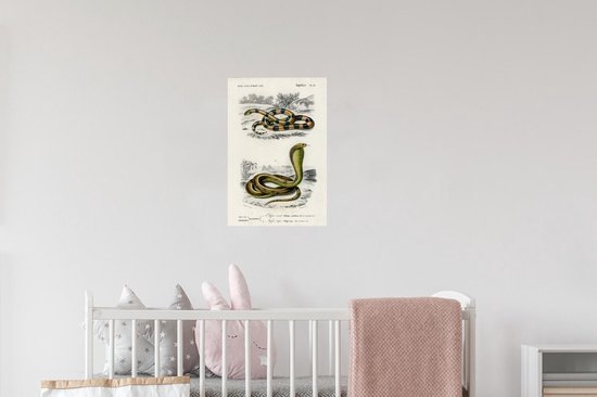 Stickers Stickers muraux - Serpent - Vintage - Reptiles - 20x30 cm - Feuille adhésive