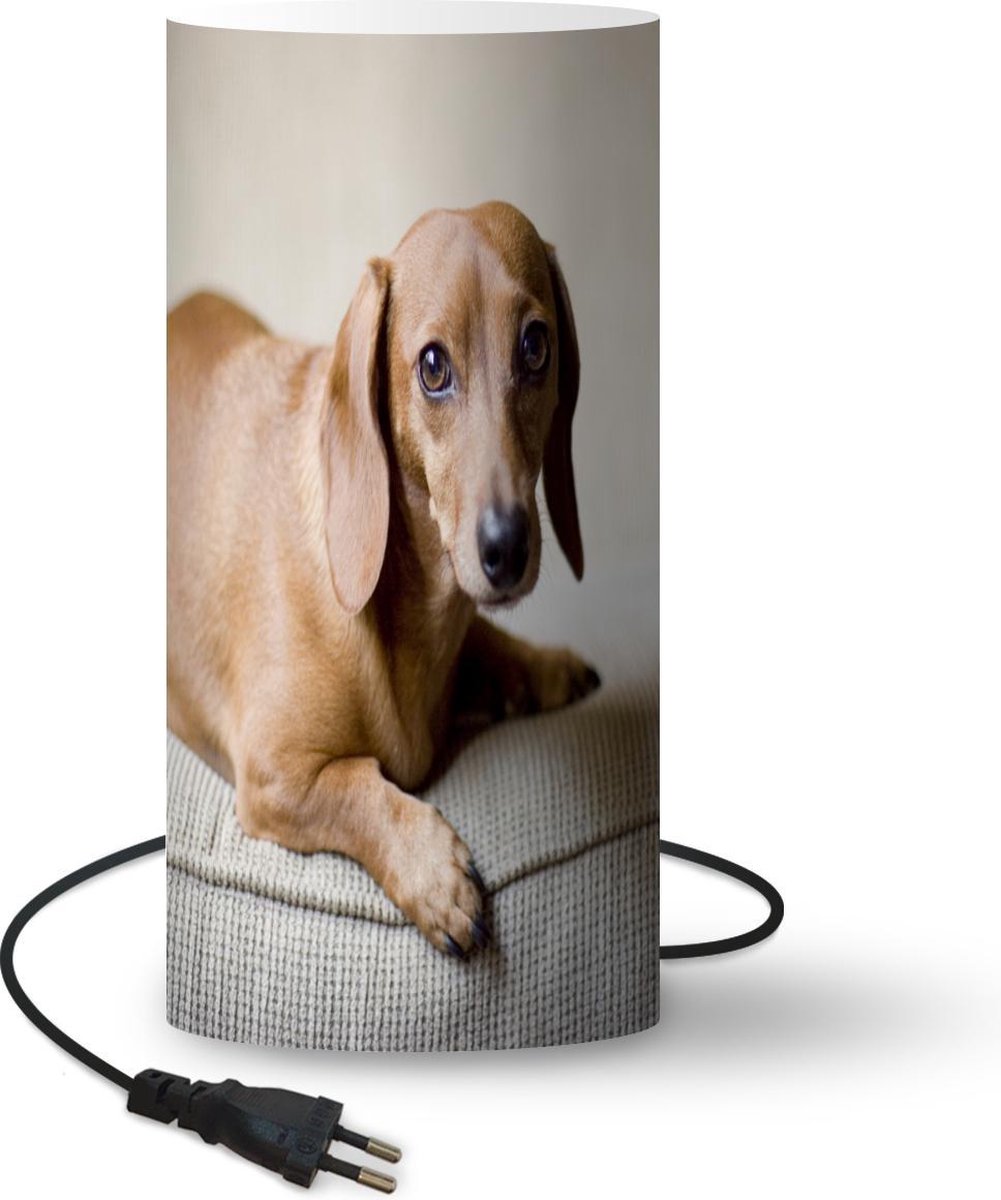 Lamp - Nachtlampje - Tafellamp slaapkamer - Een bruine Teckel kijkt in de camera - 54 cm hoog - Ø24.8 cm - Inclusief LED lamp