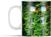 Mok - Klimop op de muur van een gebouw - 350 ml - Beker