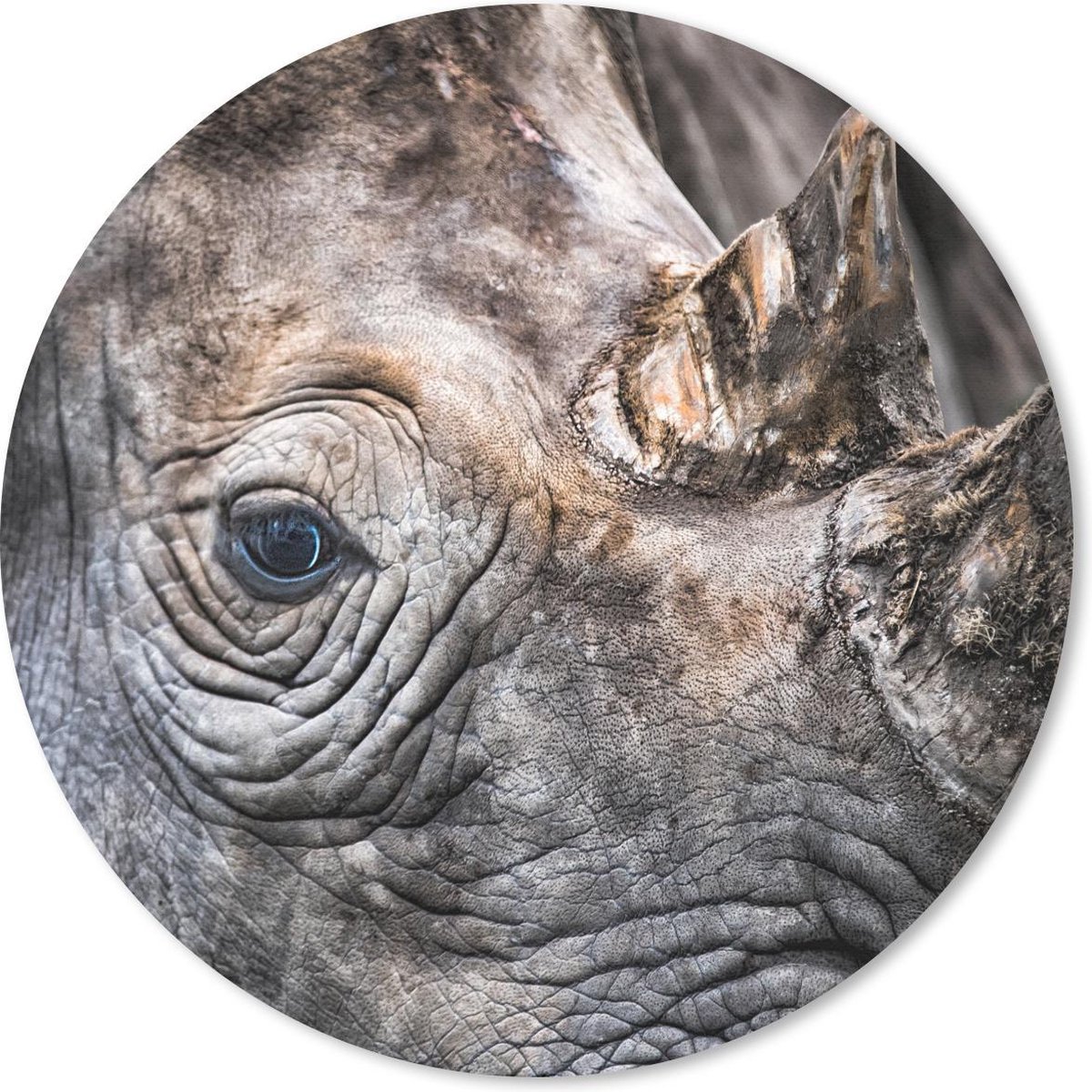 Muismat rond 40x40 cm - Mousepad Close up neushoorn - Ronde muismatten
