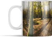 Mok - Zonnestralen schijnen door de bossen van het Nationaal park New Forest - 350 ml - Beker