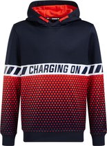 WE Fashion Jongens capuchonsweater met dessin