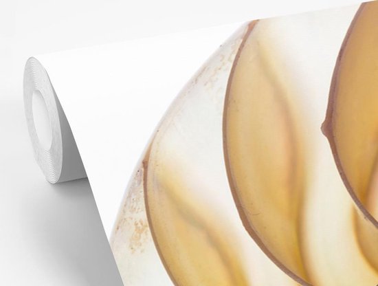 Coupe transversale de la fotobehang de coquille de nautile