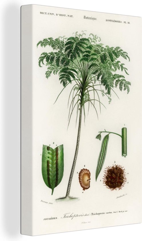 Tableau sur toile 90x140 cm - Décoration murale Arbre - Vintage - Graines - Décoration murale salon - Décoration chambre - Accessoires chambre - Peintures