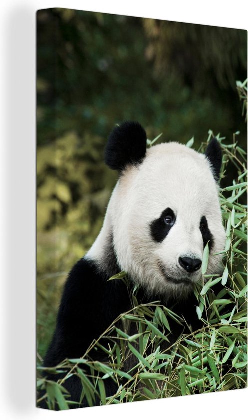 Canvas Schilderij Panda - Bamboe - Plant - 60x90 cm - Wanddecoratie