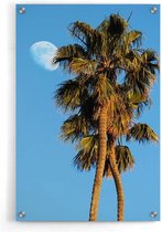 Walljar - Palmbomen En Maan - Muurdecoratie - Plexiglas schilderij