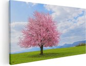 Artaza Canvas Schilderij Roze Sakura Bloesem Boom In Het Groene Veld - 120x60 - Groot - Foto Op Canvas - Canvas Print