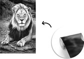 Behang - Fotobehang Dieren - Zwart - Wit - Profiel - Breedte 150 cm x hoogte 220 cm