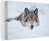 Canvas Schilderij Wolf - Sneeuw - Vacht - 90x60 cm - Wanddecoratie