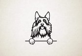 Picardische herdershond - Berger Picard - hond met pootjes - M - 64x60cm - Zwart - wanddecoratie