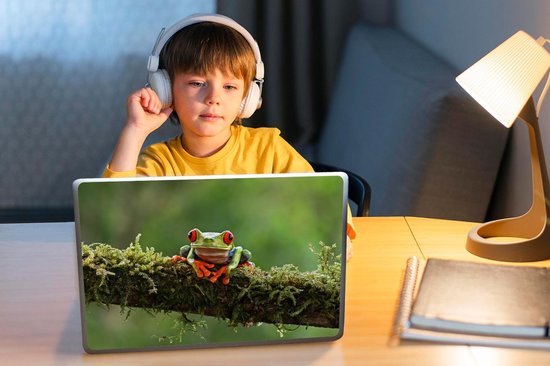 Sticker pour ordinateur portable - 10,1 pouces - Grenouille aux yeux rouges sur une branche couverte