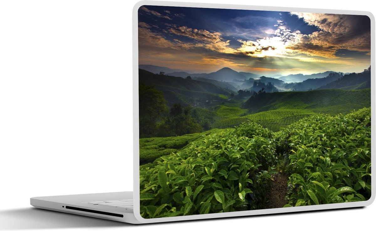 Afbeelding van product SleevesAndCases  Laptop sticker - 13.3 inch - Lucht - Berg - Boom