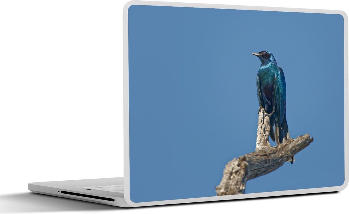 Afbeelding van product SleevesAndCases  Laptop sticker - 11.6 inch - Roodschouderglansspreeuw strijkt neer op een dode tak