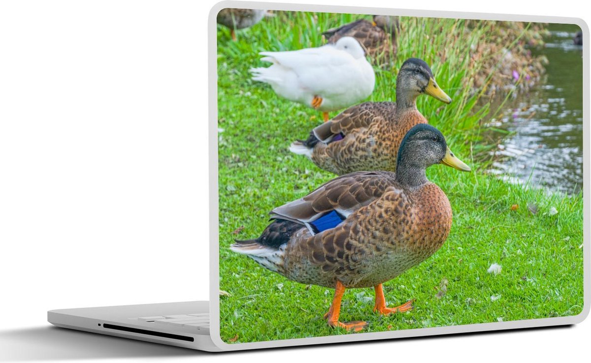 Afbeelding van product SleevesAndCases  Laptop sticker - 11.6 inch - Eenden - Gras - Wild