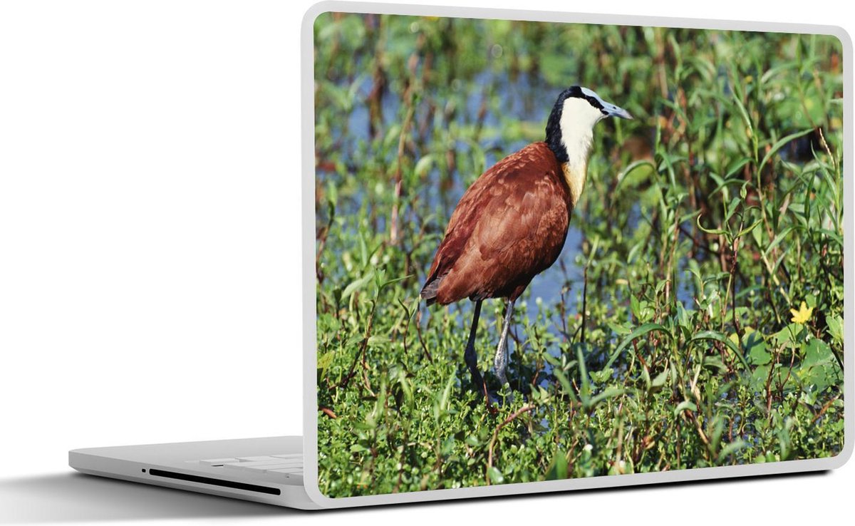 Afbeelding van product SleevesAndCases  Laptop sticker - 12.3 inch - Afrikaanse jacana of lotusvogel loopt over waterplanten