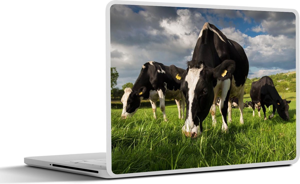Laptop sticker - 10.1 inch - Koe - Natuur - Gras - Dieren - 25x18cm - Laptopstickers - Laptop skin - Cover