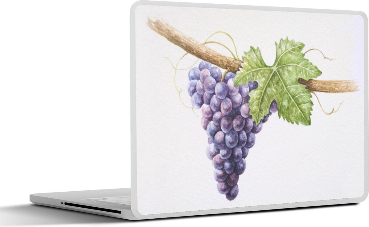 Afbeelding van product SleevesAndCases  Laptop sticker - 13.3 inch - paarse druiven aan een wijnstok