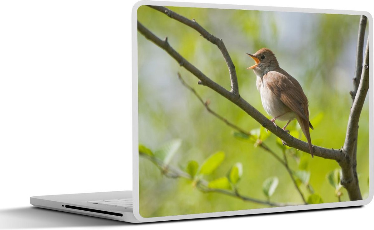 Afbeelding van product SleevesAndCases  Laptop sticker - 15.6 inch - Zingende nachtegaal op een tak