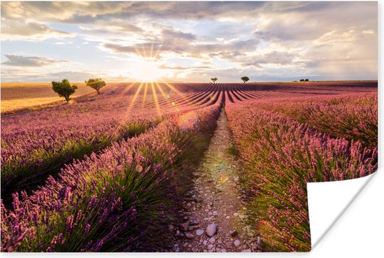 Poster De zon schijnt op een lavendelveld in Zuid-Frankrijk - 120x80 cm