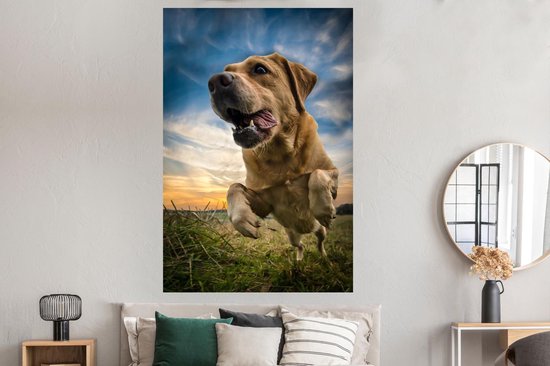 Ciel coloré au dessus de ce Poster Labrador Retriever 120x180 cm - Tirage photo sur Poster (décoration murale salon / chambre) / Poster Animaux domestiques XXL / Groot format!