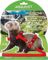 Arquivet Petral Voor Fretten 1,25M/8Mm  | 125 cm