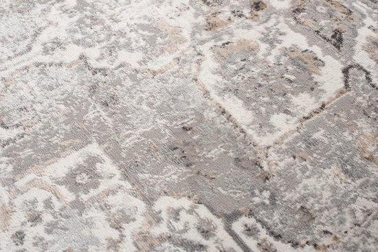 Tapiso Valley Tapis Salon Chambre Gris Clair Cadre Design Moderne Fleurs Durable Vintage Haute Qualité Tapis Taille - 200x300