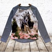 Shirt met paard grijs -s&C-110/116-Longsleeves meisjes