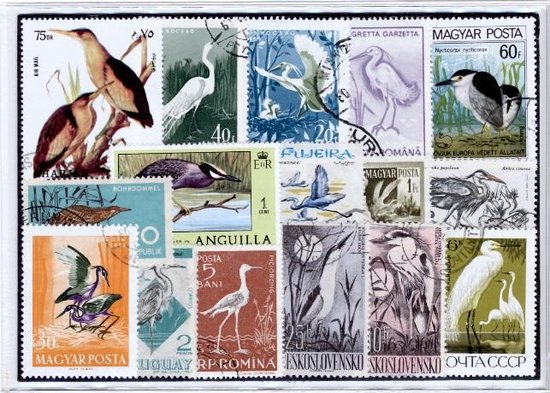 Thumbnail van een extra afbeelding van het spel Reigers – Luxe postzegel pakket (A6 formaat) : collectie van 25 verschillende postzegels van reigers – kan als ansichtkaart in een A6 envelop - authentiek cadeau - cadeau - geschenk - kaart - vogel - vis - roofvogel - roeipotigen - Ardeidae