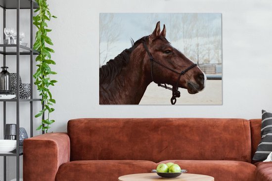 Tableau sur toile Paarden - Animaux - Licol - 120x90 cm - Décoration murale