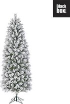 Black Box Trees - Chandler kerstboom slim groen frosted TIPS 538 - h215xd74cm - Kerstbomen