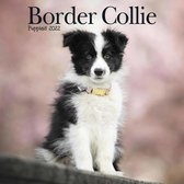 Border Collie Kalender 2022 Mini