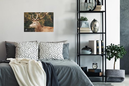 Affiche Cerf - Bois - Forêt - 30x20 cm