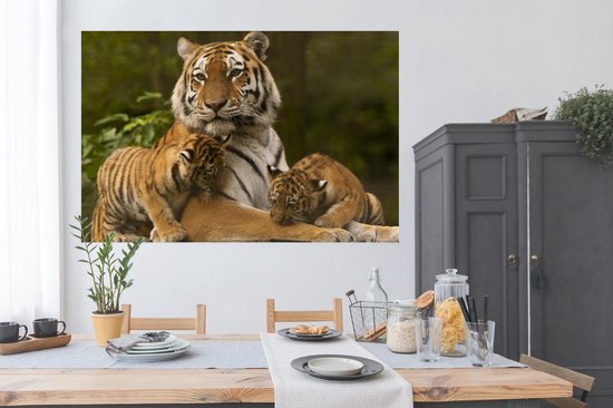 Affiche Tigres - Oursons - Nature - 180x120 cm XXL