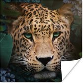 Affiche Un léopard aux yeux verts parmi les fleurs et les plantes de la jungle - 50x50 cm