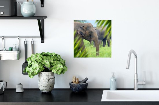 Stickers muraux - Film autocollant - Éléphant - Palmier - Animaux - 30x30 cm - Film adhésif - Stickers muraux chambre enfant - Papier peint autocollant - Papier peint autocollant - Film autocollant