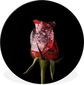 WallCircle - Cercle Mural - Cercle Mural - Roses - Fleurs - Peinture - Aluminium - Dibond - 90x90 cm - Intérieur et Extérieur