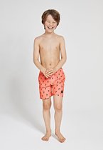 Shiwi Swimshort shiwi palm - oranje - 152