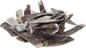 rechthoekige schelpen Placuna 250 gram naturel