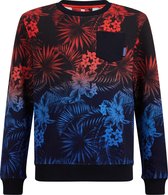 WE Fashion Jongens sweater met dessin