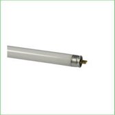 Osram T5 FH 21W/67 HE Blue G5
