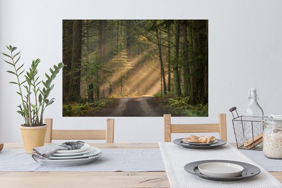 Stickers Stickers muraux - Forêt - Arbre - Chemin - 90x60 cm - Feuille adhésive